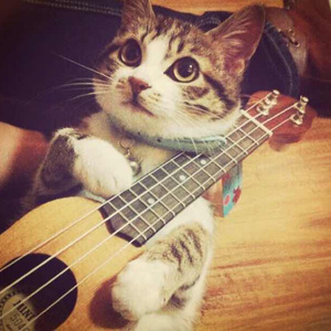 大乔裸乳被爆❌白浆的同人游戏
